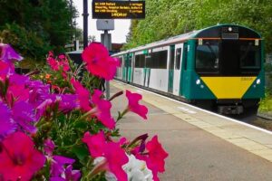 Train photo with flowers